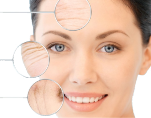 fresh start gel face vera aloe flax kelp extract concentrate seed sea